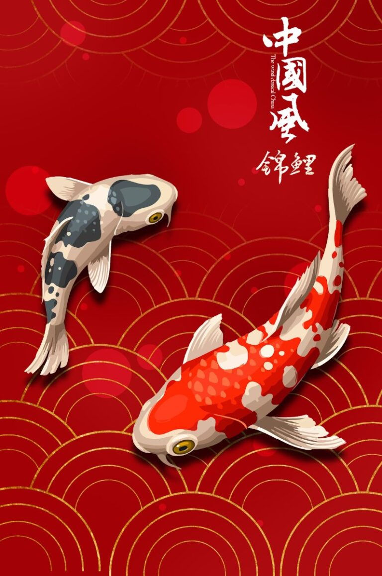 Vector cá chép phong cách Trung Hoa