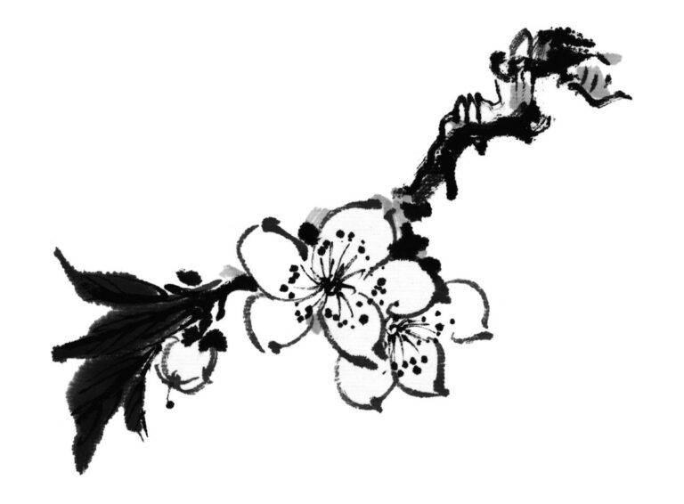 Vector cành mai đen trắng