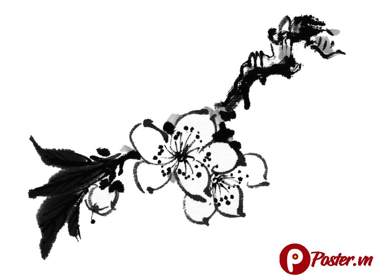 Vector cành mai đen trắng