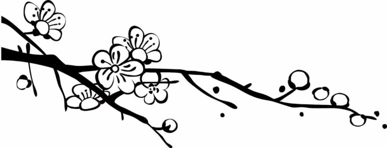 Vector cành mai đen trắng