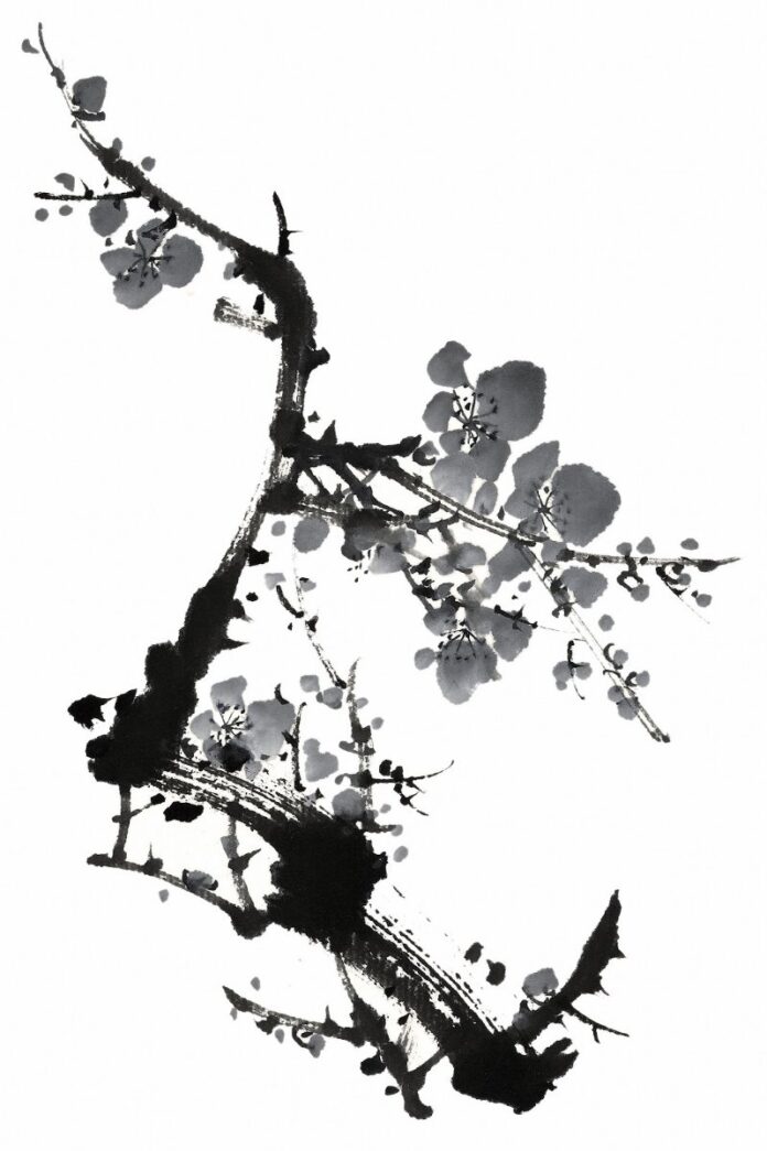 Vector Cành Mai Đen Trắng