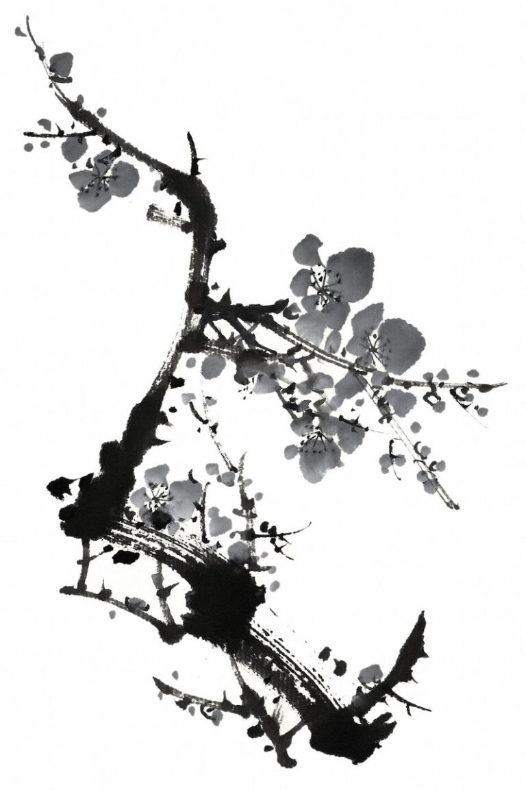 Vector Cành Mai Đen Trắng