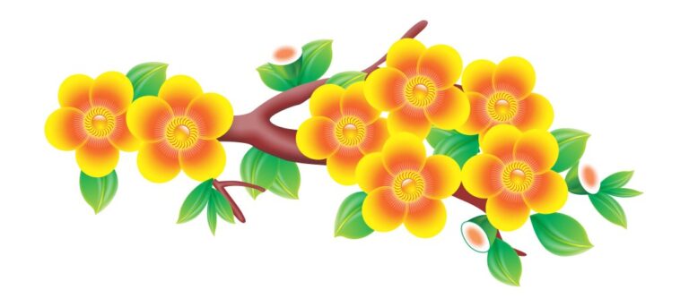 Vector cành mai vàng Tết