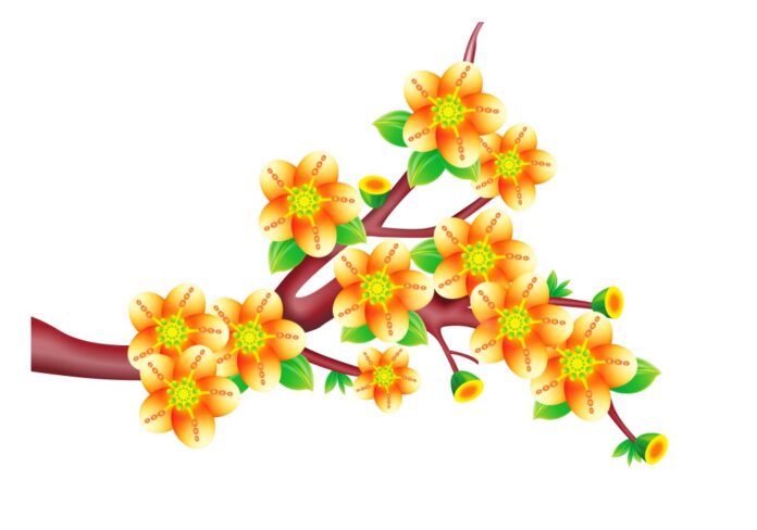 Vector cành mai vàng rực rỡ