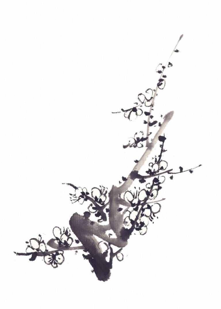 Vector cành mai thủy mặc