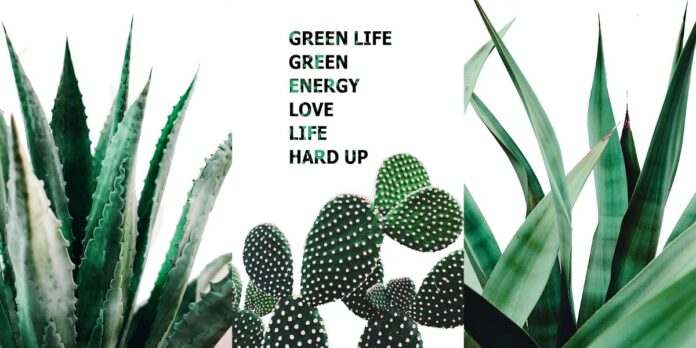 Vector cây xanh trang trí môi trường