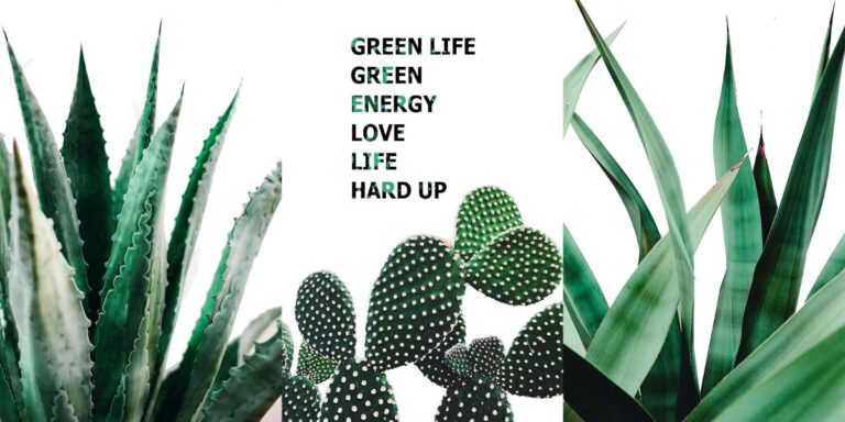 Vector cây xanh trang trí môi trường