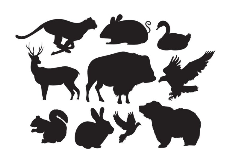 Vector động vật vẽ tay silhouette