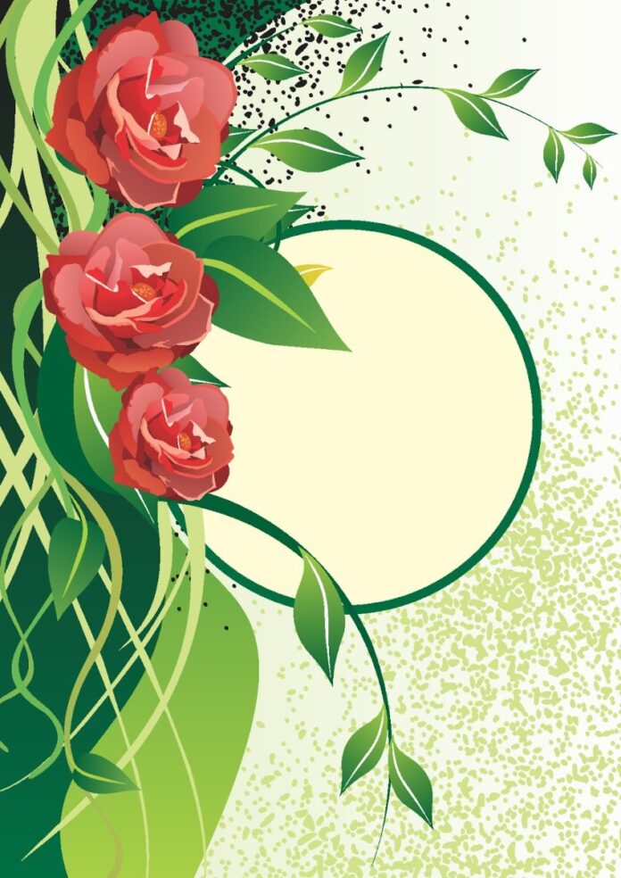 Vector Hoa Hồng Đỏ BPD_FLOR (70)