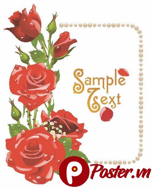 Vector hoa hồng đỏ khung ngọc trai