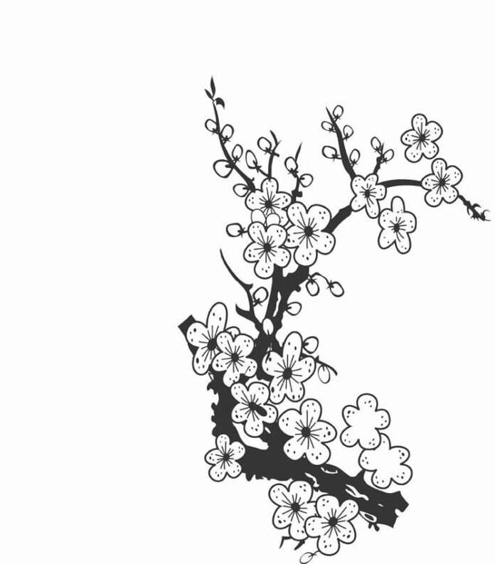 Vector hoa mai đen trắng