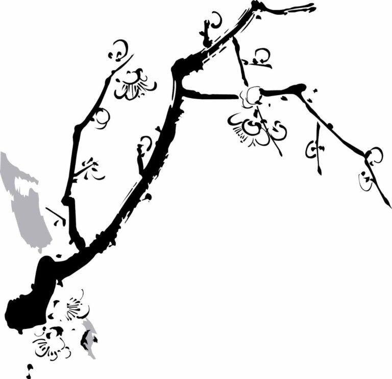 Vector hoa mai đen trắng