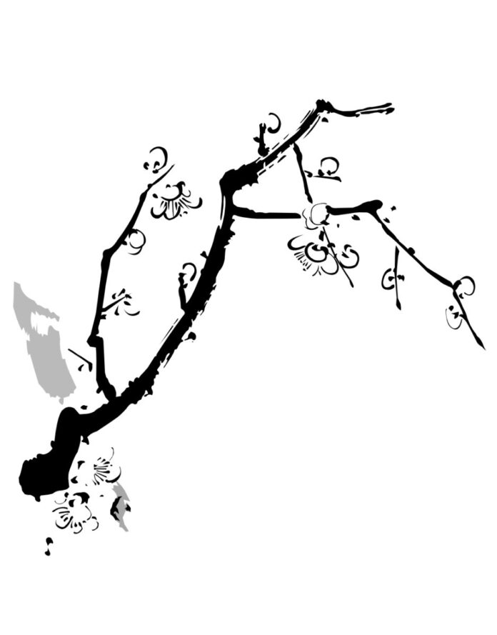 Vector hoa mai đen trắng