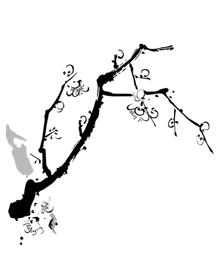 Vector hoa mai đen trắng