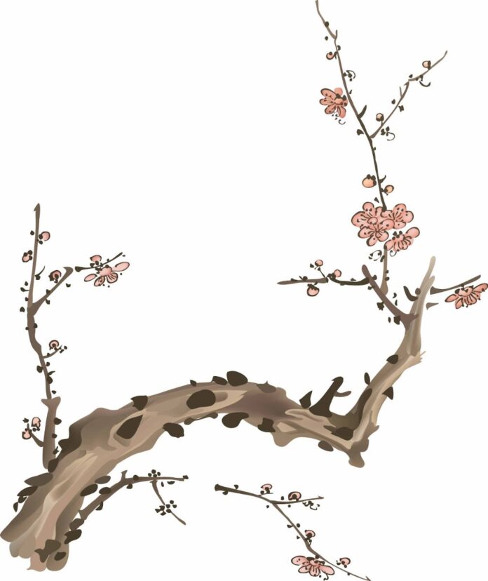 Vector hoa mai đẹp