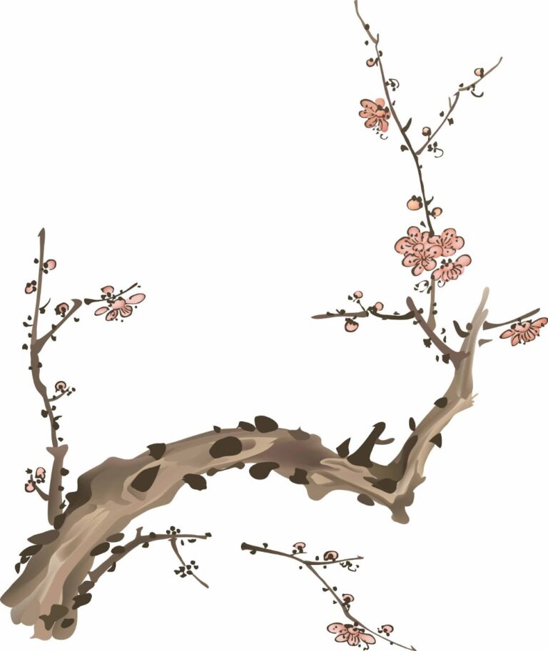 Vector hoa mai đẹp