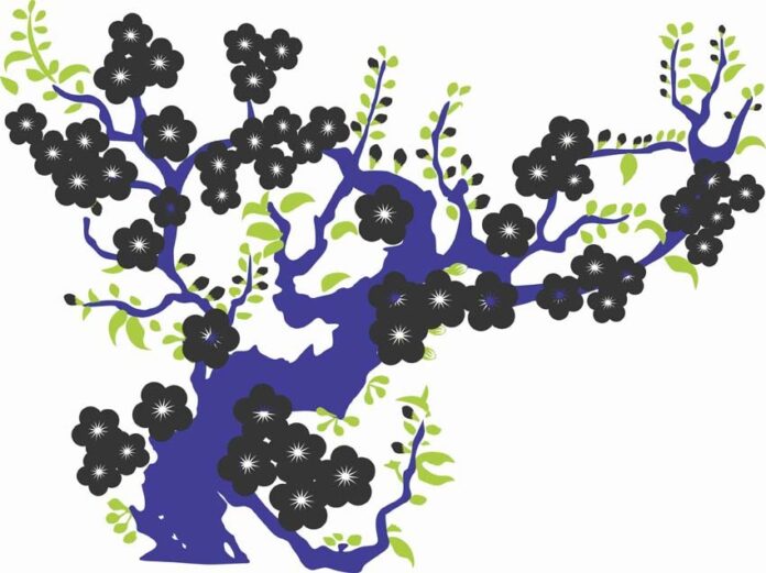 Vector hoa mai đẹp