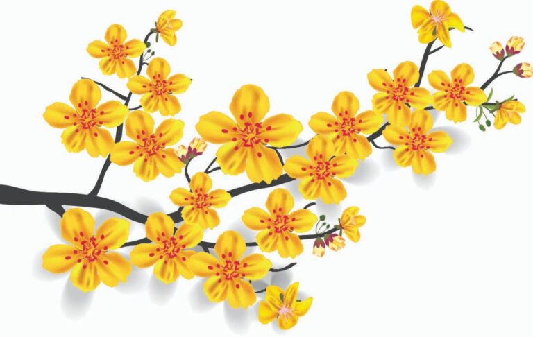 Vector hoa mai Tết 2025