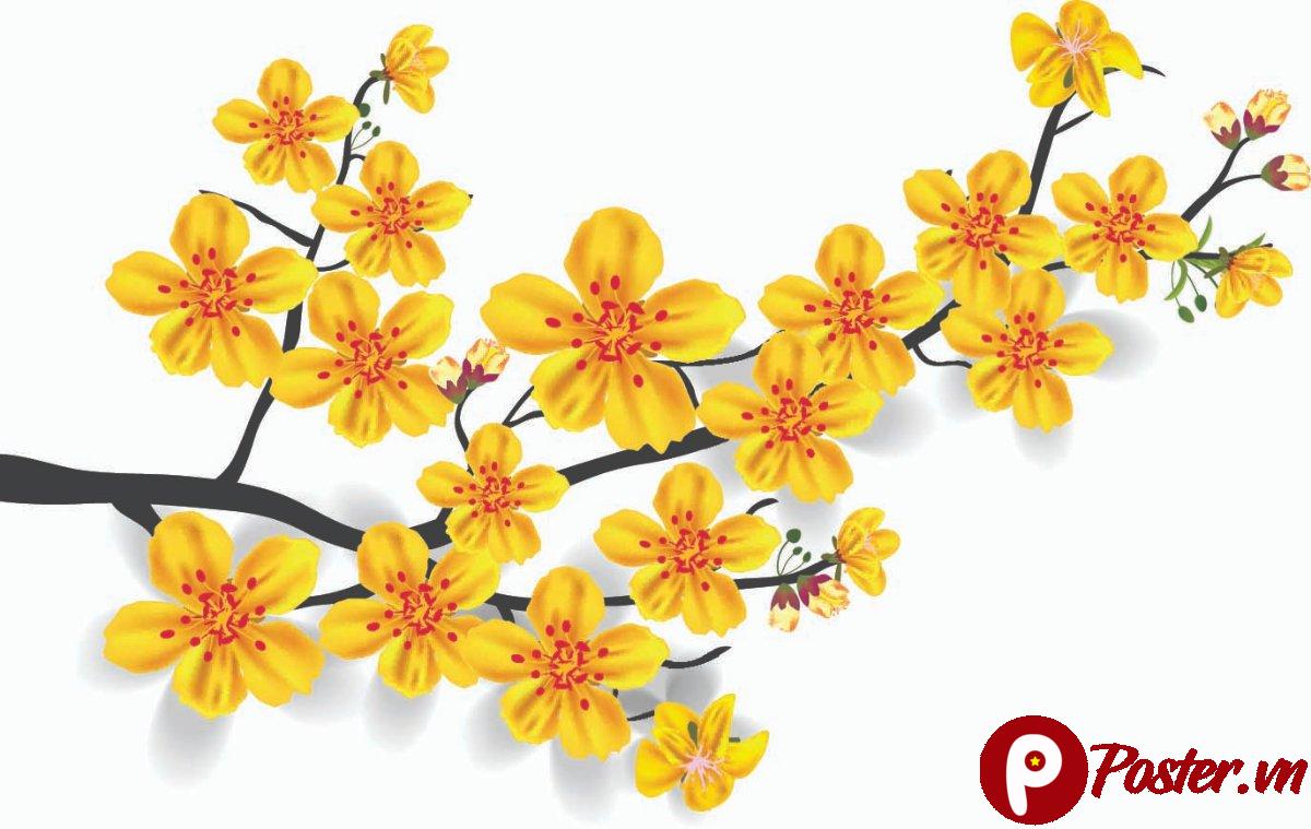 Vector hoa mai Tết 2025