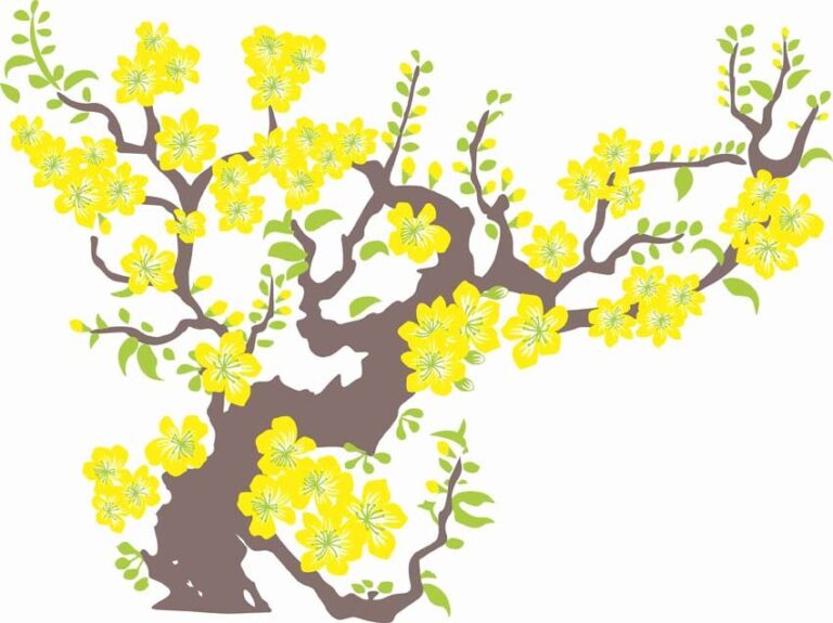 Vector hoa mai vàng Tết