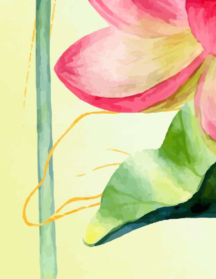 Vector hoa sen EPS đẹp