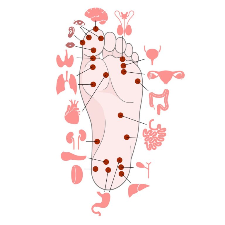 Vector huyệt đạo bàn chân