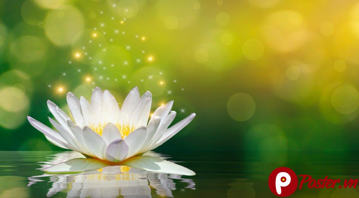 Vector Makha Bucha Đồ Họa Phật Giáo - Chi tiết 2