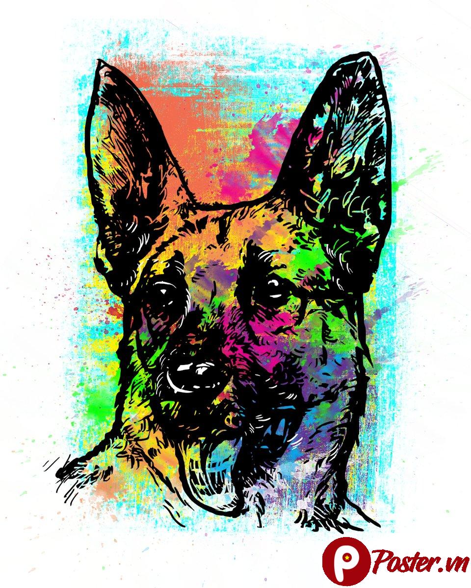 Chó Becgie đầy màu sắc