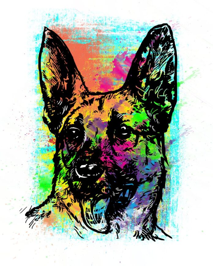 Chó Becgie Pop Art Đầy Màu Sắc