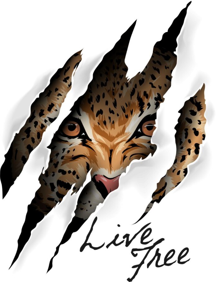 Hình ảnh báo gấm xé toạc nền đen