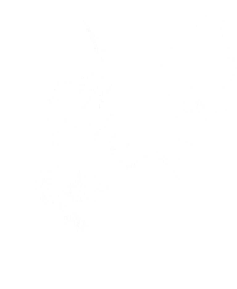 Mèo đen trắng vector đồ họa