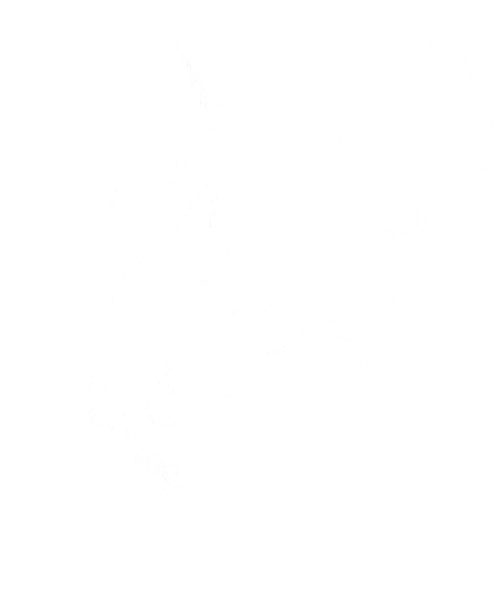 Mèo đen trắng vector đồ họa