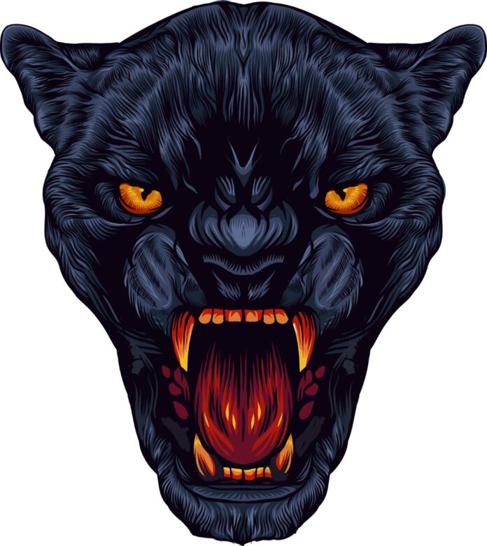 Vector báo đen gầm gừ mạnh mẽ