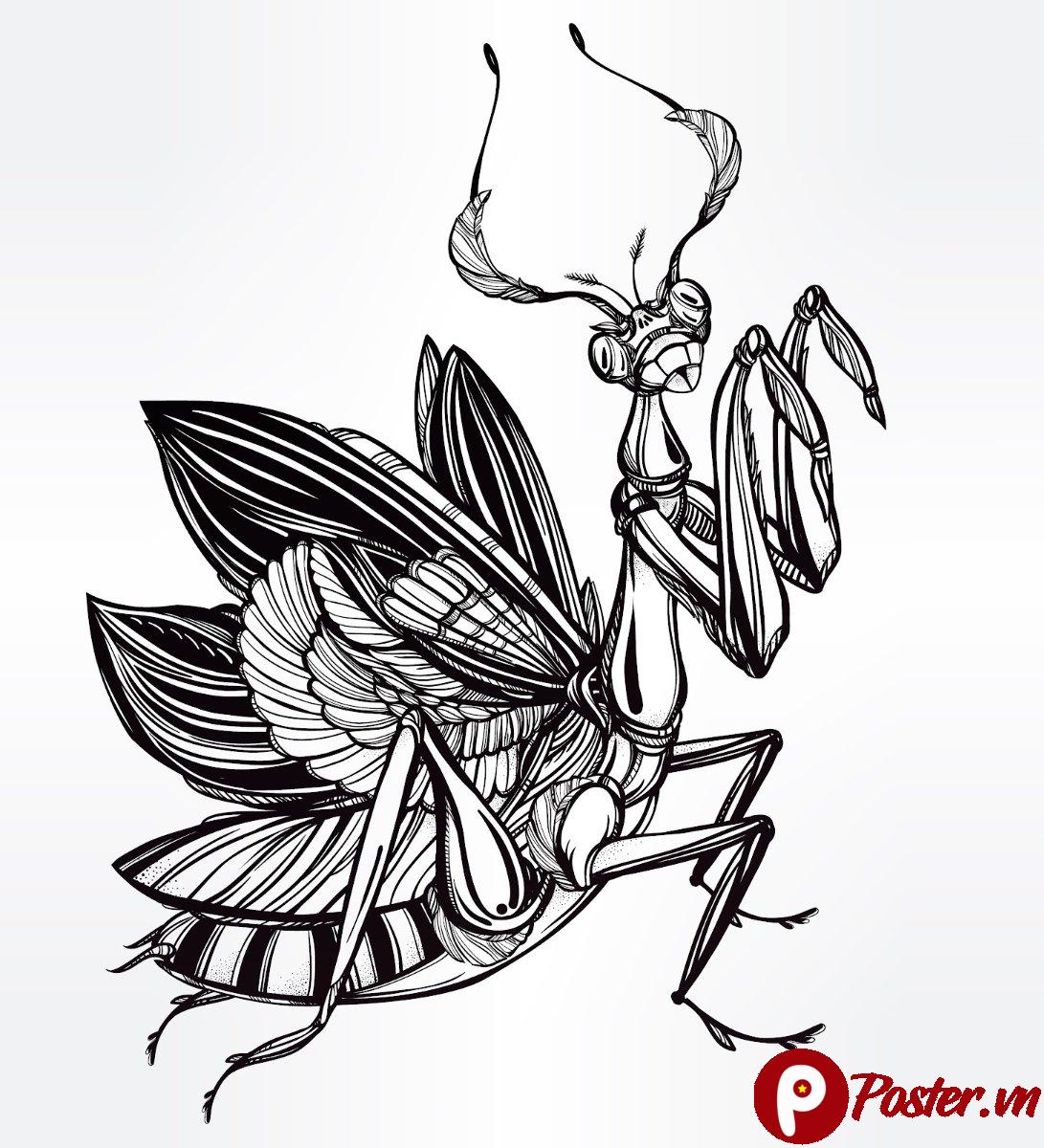 Vector bọ ngựa nghệ thuật