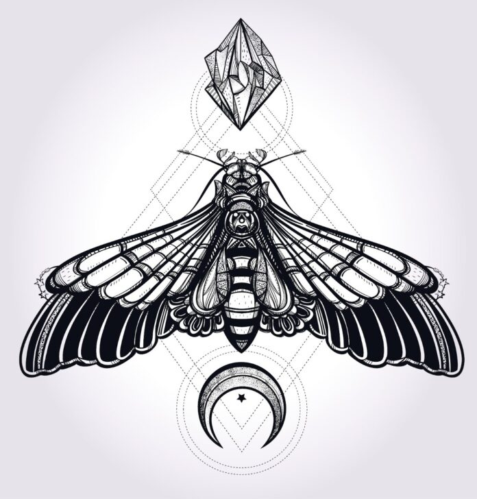 Vector bướm đêm hình học huyền bí