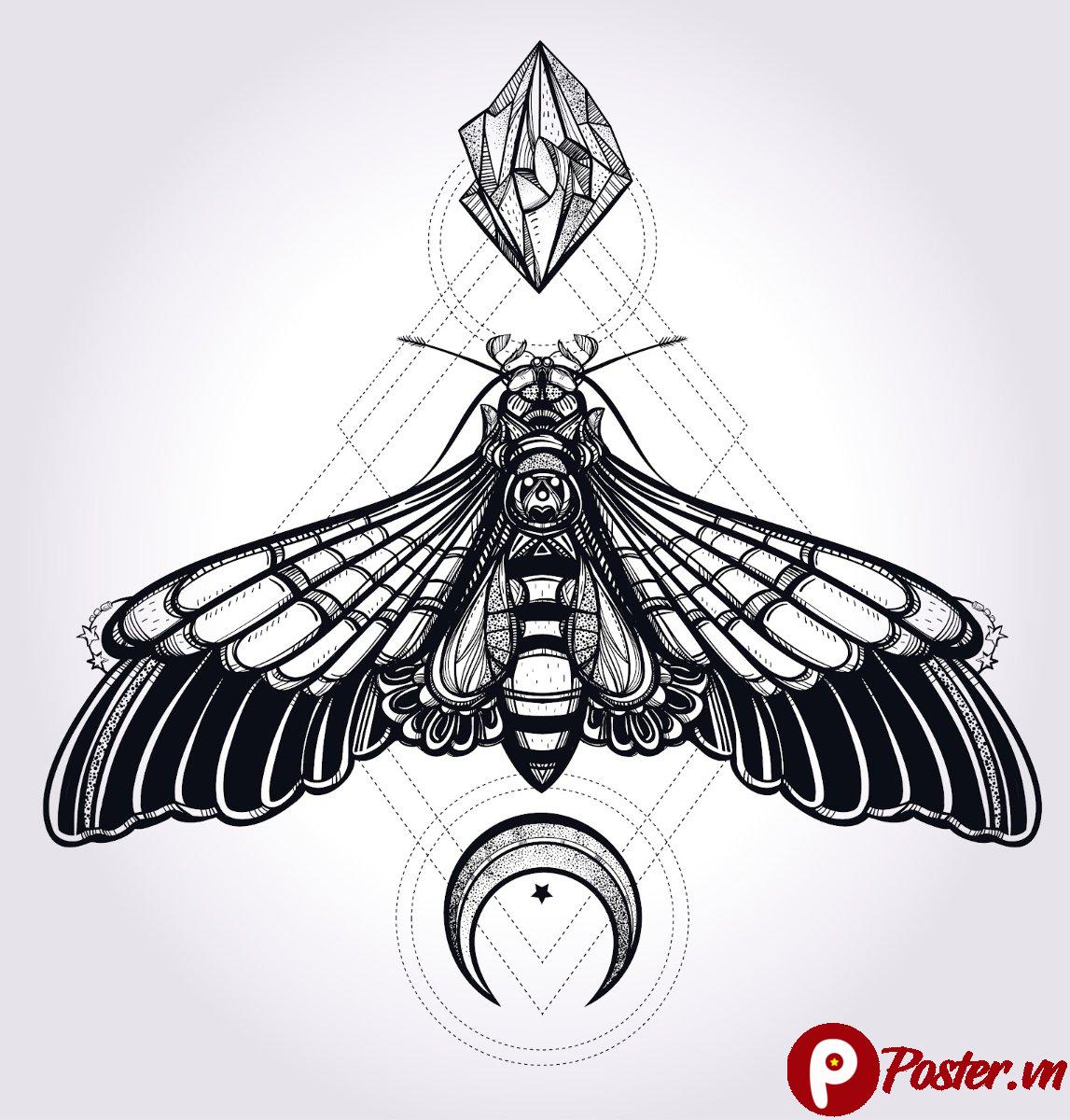 Vector bướm đêm hình học huyền bí