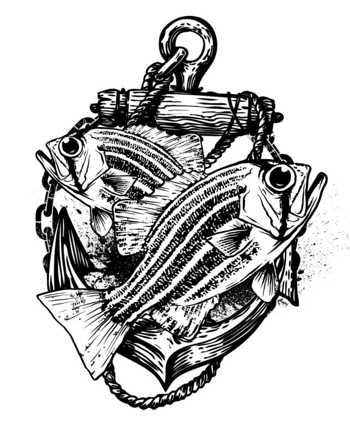 Vector cá mỏ neo vintage