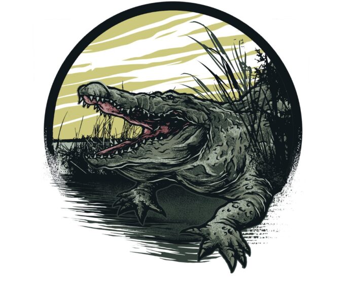 Vector cá sấu đồ họa