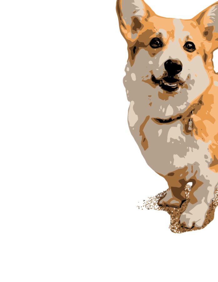 Vector Corgi Dog Dễ Thương