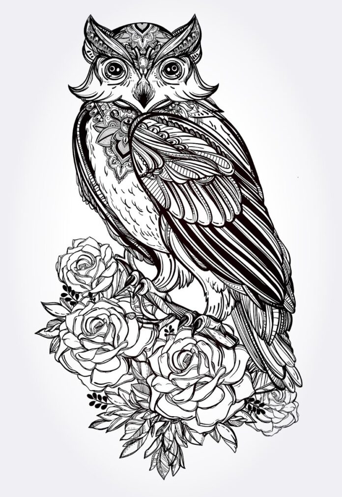 Vector cú mèo mandala