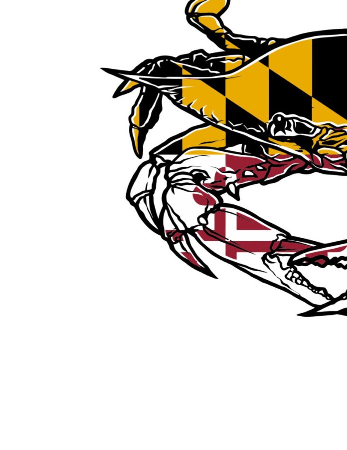 Vector cua biển độc đáo