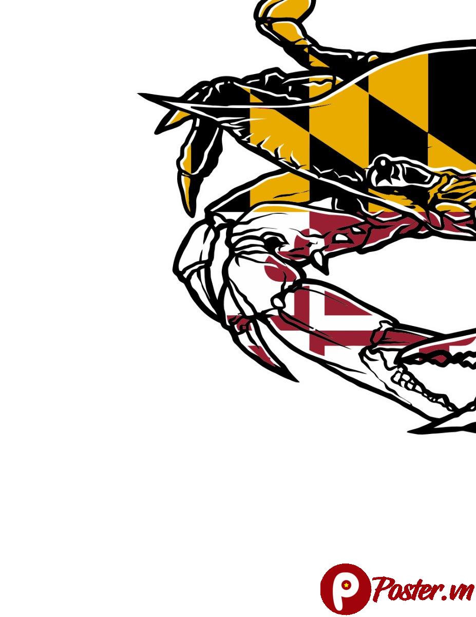 Vector cua biển độc đáo