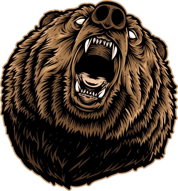 Vector đầu gấu nổi giận