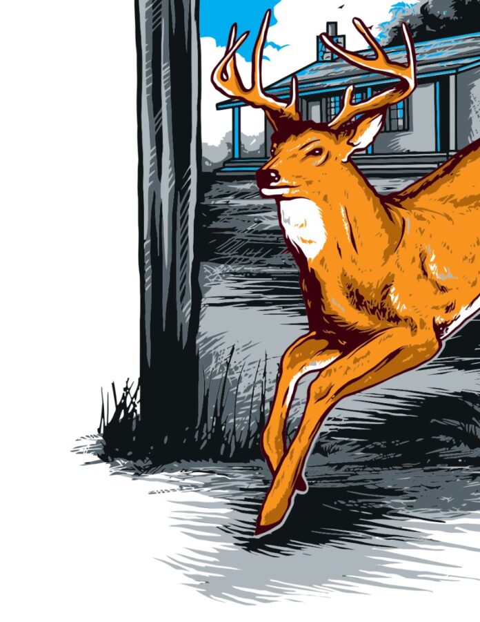 Vector hươu săn bắn