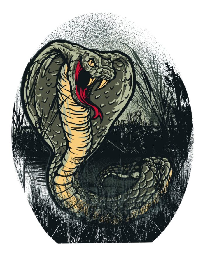 Vector rắn hổ mang độc đáo