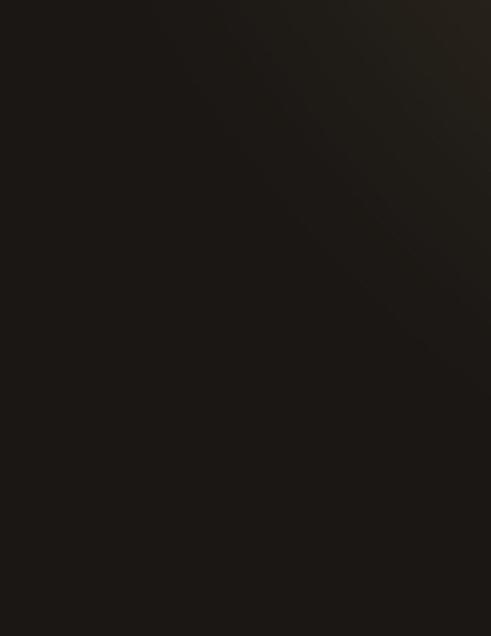 Vector Tết 2025 độc đáo